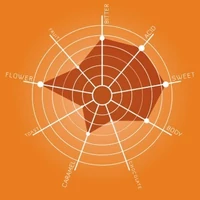 Illy Arabica Selection Etiopia szemes kávé, 250g