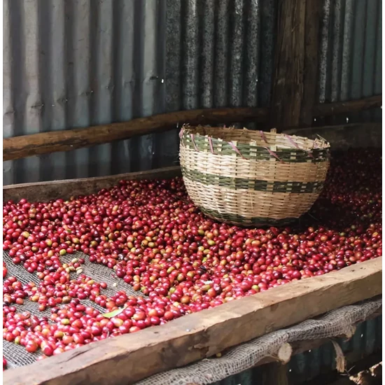 Gardelli Beshasha (Etiópia) 250g 